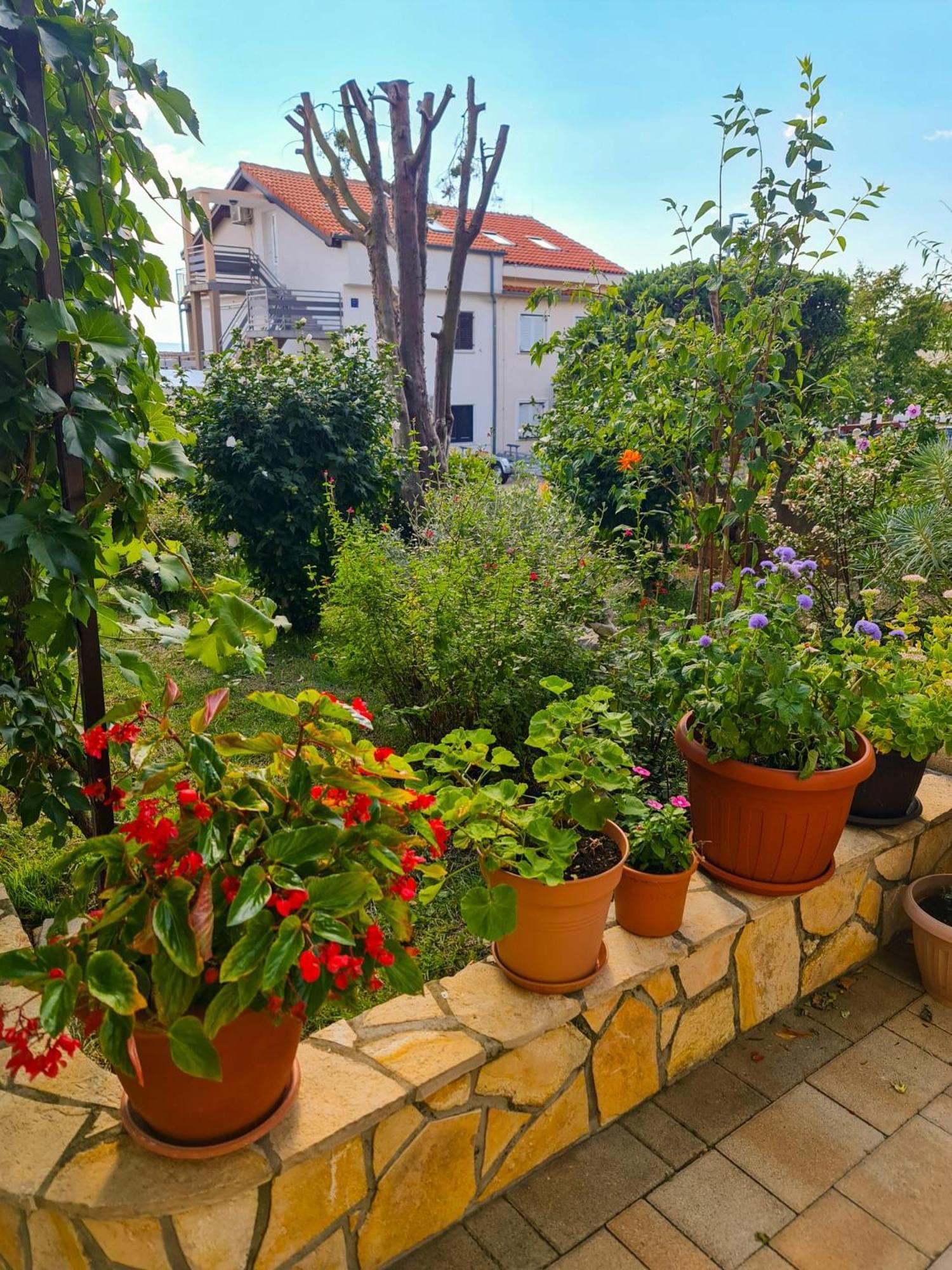 Apartments Marko Novi Vinodolski Habitación foto